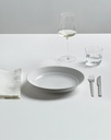 Shallow Plate, High Rim
