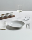 Shallow Plate, High Rim