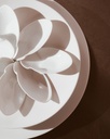 Oval Amuse-Bouche Dish, Small