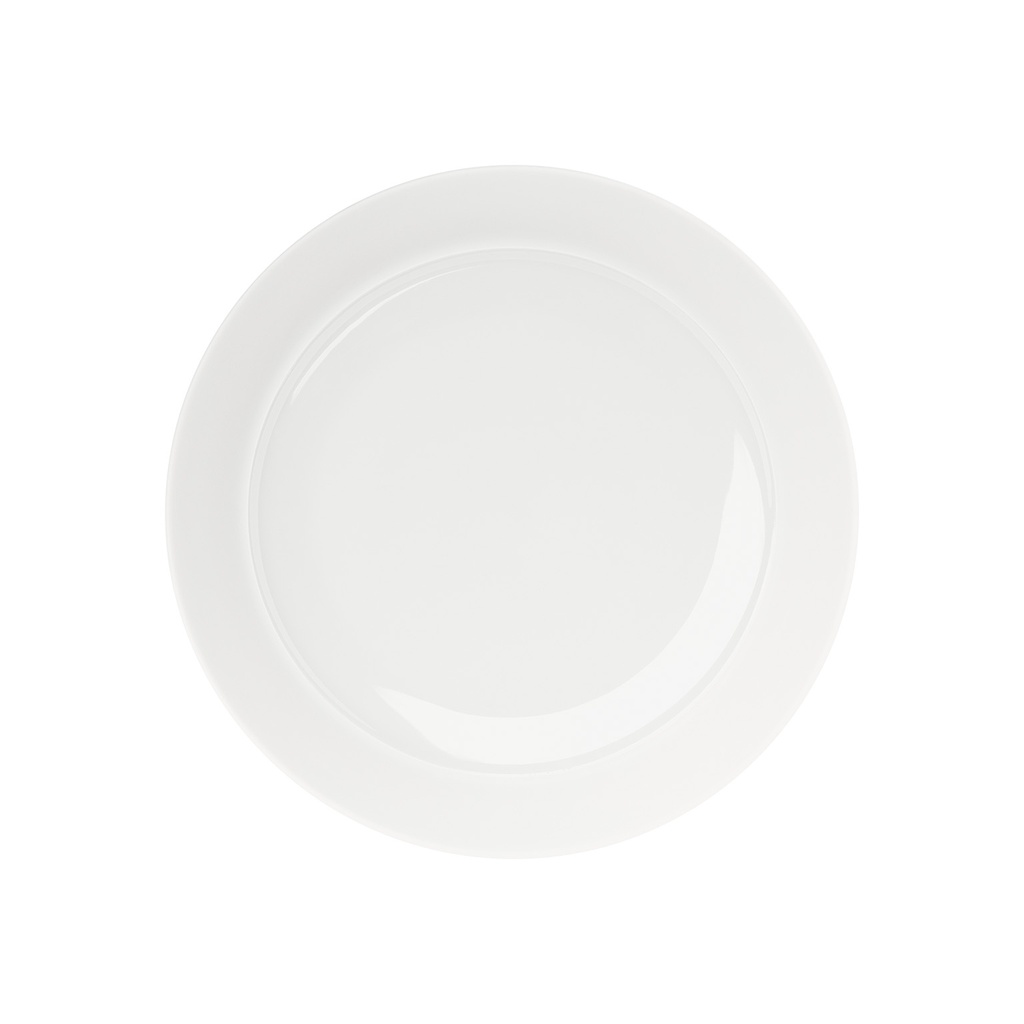 Shallow Plate, High Rim