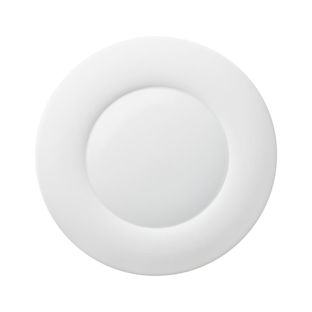 Dinner Plate